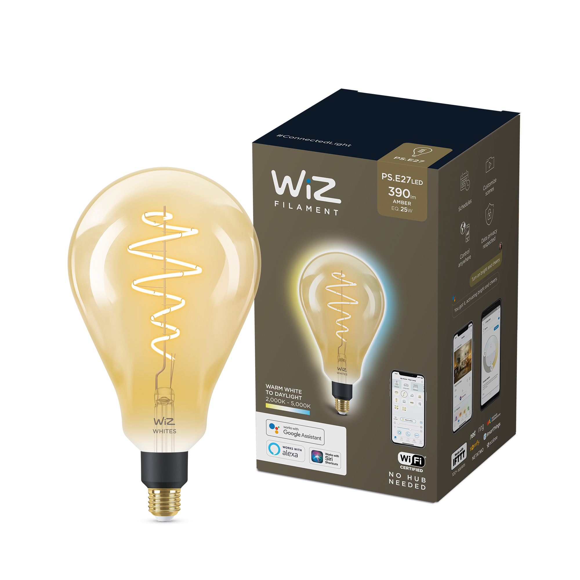 WIZ Globe G160 25w E27 amb